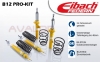 Eibach Sportfahrwerk B12 Pro-Kit BMW X1 xDrive 18d - 20d - 23d - 25i - 28i